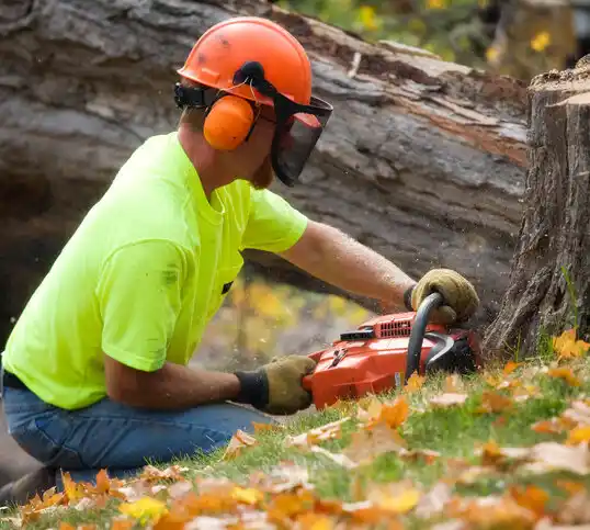 tree services Pinehurst